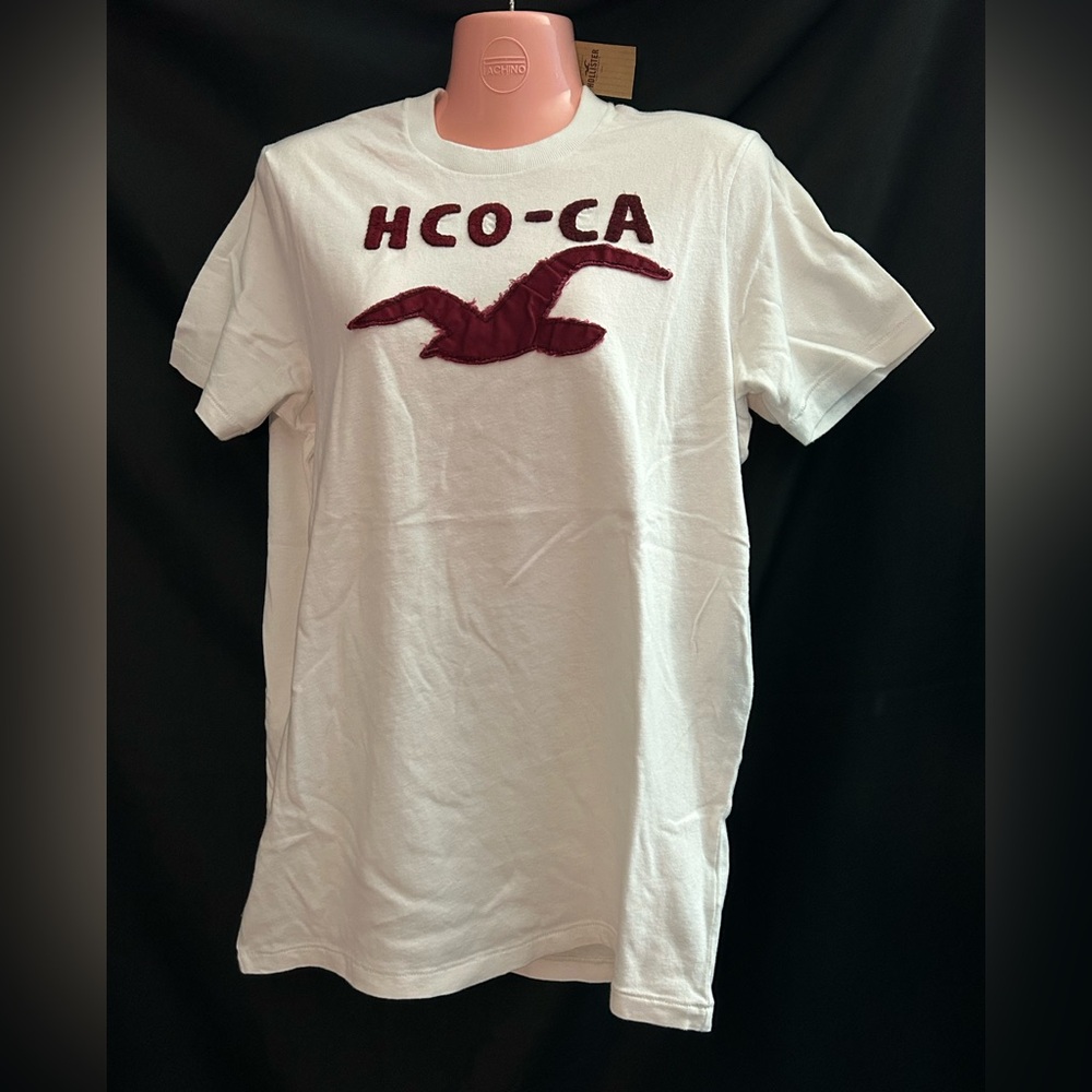 Hollister Men’s White Short Sleeve Tee Maroon Logo LG NWT